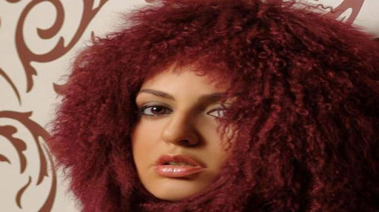 Sevda Ələkbərzadənin “Mix-Music” adlı konsertində yaşananlar