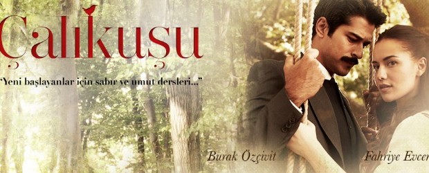 “Çalıquşu” serialı bitir