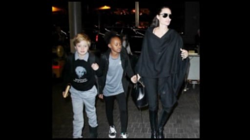 Ancelina Colidən növbəti örnək davranış 