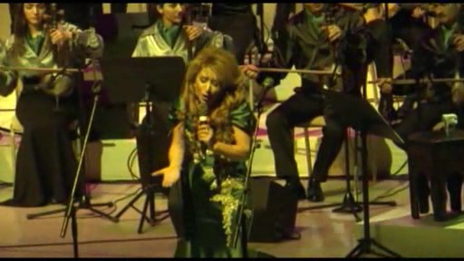 Elnarə Abdullayeva: “Restoranda çıxş edirlər, adını da qoyurlar konsert verdik”