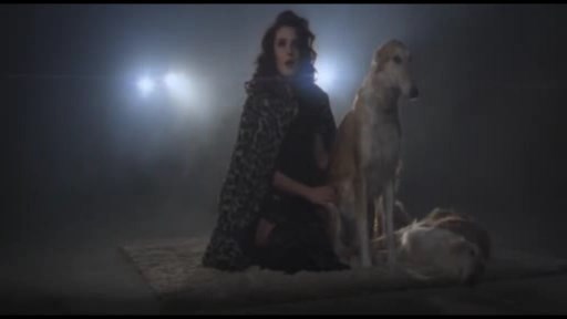 Dilarə Kazımova ukraynalı müğənninin klipində rol aldı