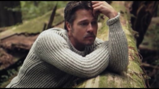 Bred Pitt məşhur aktrisa ilə sevgi münasibətindədir