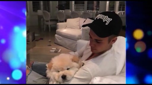 Castin Biber xəstə itini hədiyyə etdi