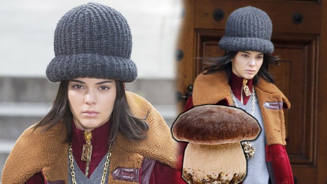 Kendalı papağına görə lağa qoydular&nbsp;