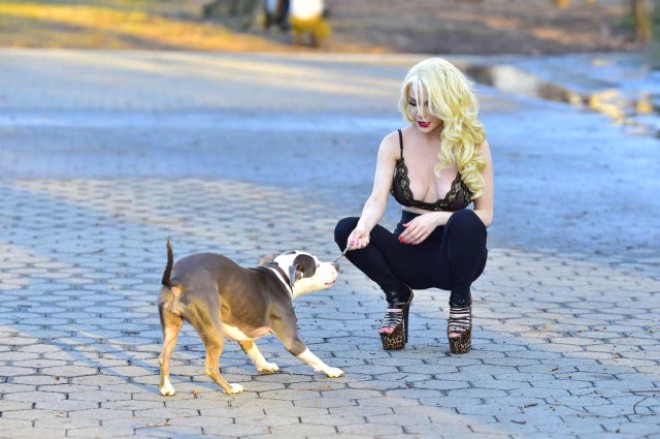 Alt geyimində it gəzdirən modeldən - fotolar