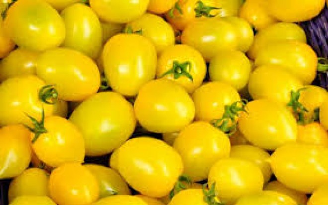 Prezident İlham Əliyev Novruz bayramı münasibətilə&nbsp;ümumxalq şənliyində iştirak etdi