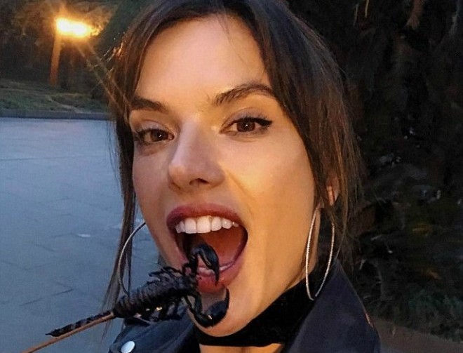 ​&nbsp;Alessandra Ambrosio əqrəb yedi