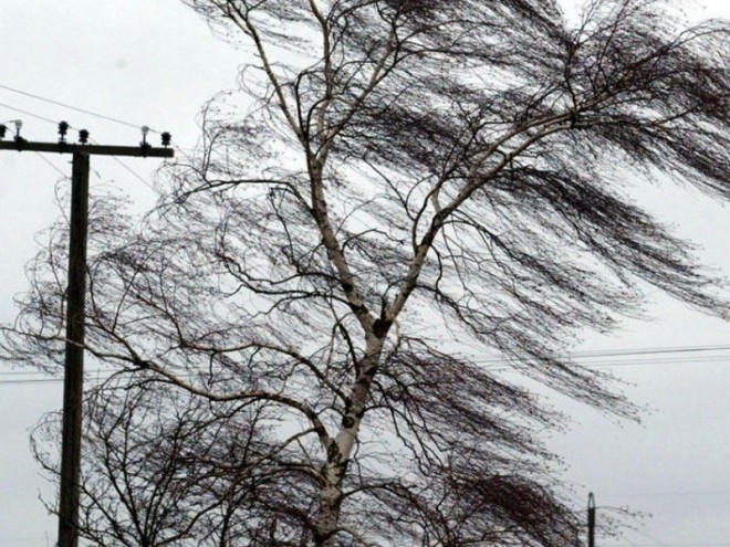 Bakıda &nbsp;10 ildə bir dəfə müşahidə edilən qasırğa başlayıb