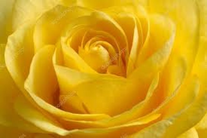 Milli Parkda keçirilən Novruş şənliyindən fotolar