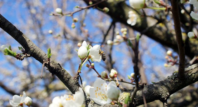 Bayram havası belə olacaq