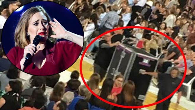 Adel qutuda gizləndi