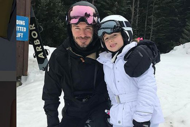 Devid Bekhem qızı və iti ilə gəzintidə - video