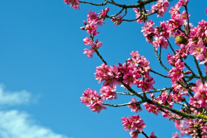 Sabah hava isti olacaq