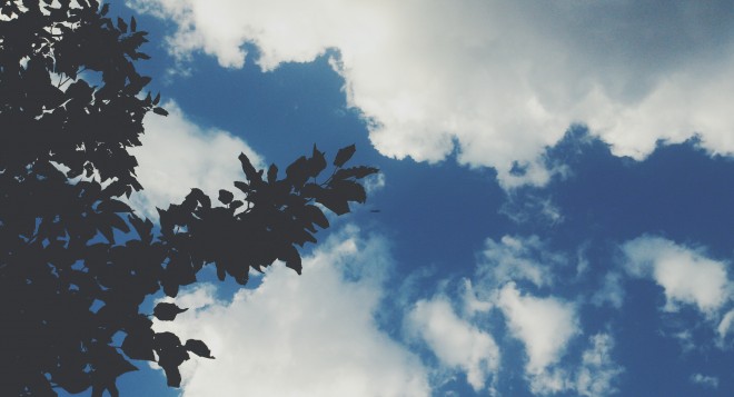 Bazar gününə olan hava proqnozu