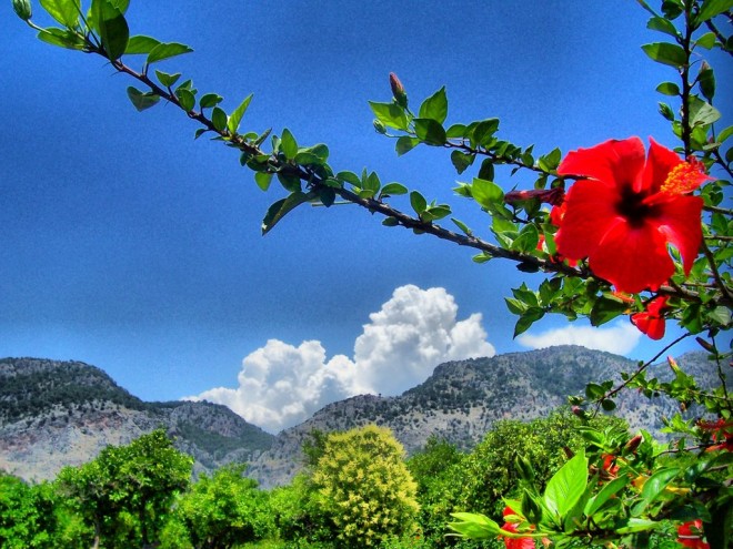 Sabah hava necə olacaq?