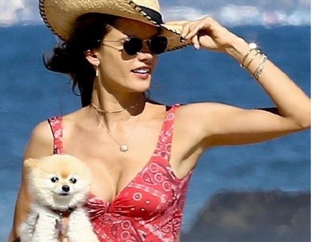 Alessandra iti ilə çimərlikdə