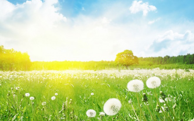 İyulda hava necə olacaq?