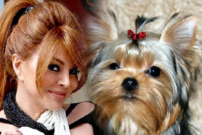 Aygün Kazımova: “Yenə şıltaqlığı tutub”