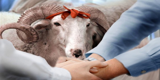 Qurban bayramında qeyri-iş günlərinin sayı açıqlanıb