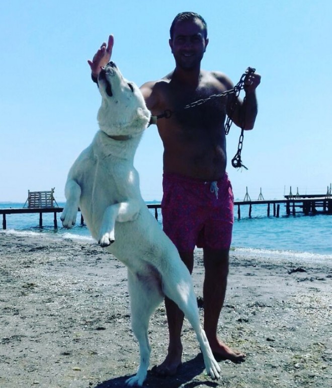 Cinin çimərlikdə əyləncəli anları - foto