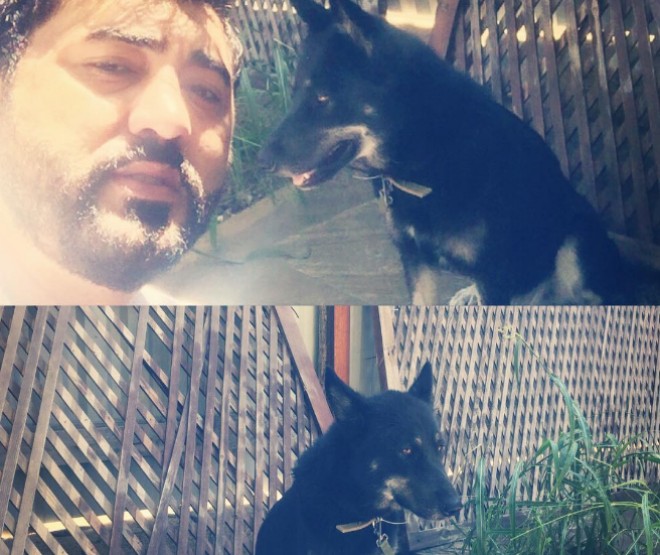 Vüqara it hədiyyə etdilər