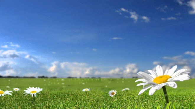 Sabah hava necə olacaq?