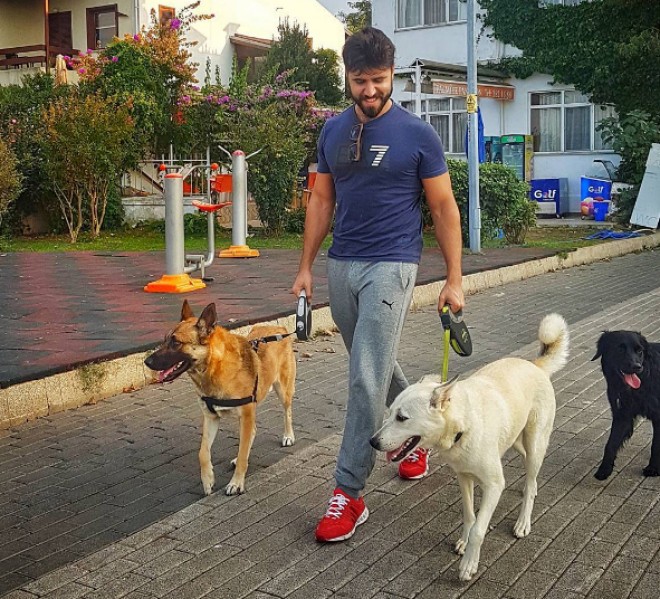 Çingiz İstanbulda itləri ilə gəzintidə - foto