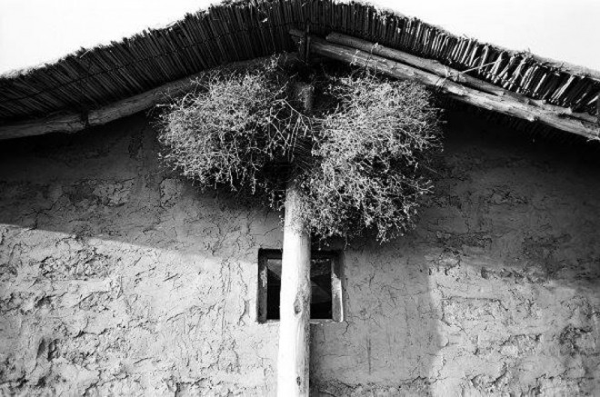 Bakıda “Nə hərb, nə sülh” adlı sərgi açılacaq