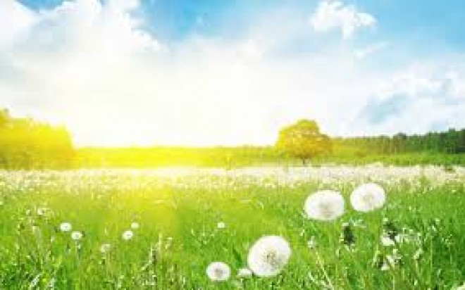 Temperatur yüksələcək