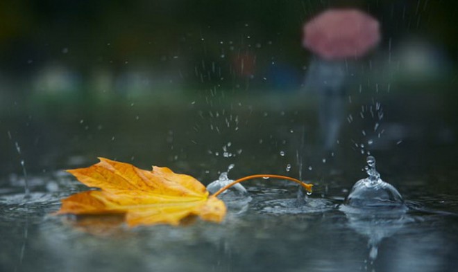 Sabaha olan hava proqnozu