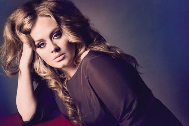 Adel 61 milyona malikanə alıb