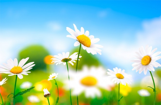 Sabahın hava proqnozu açıqlandı 