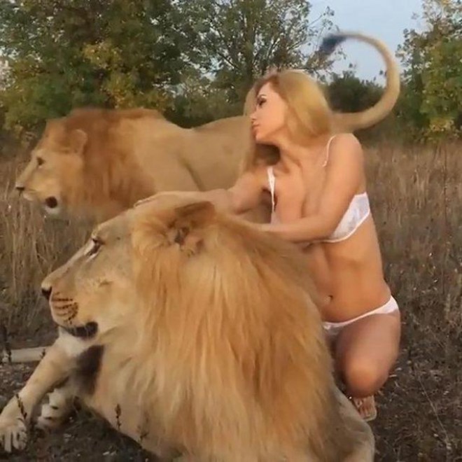 Rusiyalı müğənni şirlərlə şəkil çəkdirdi - foto