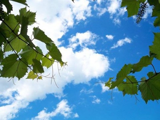 Bakıda hava dəyişkən buludlu olacaq