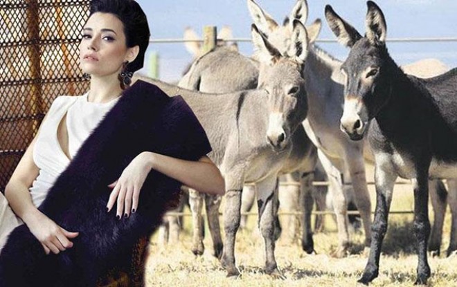 Aktrisa kənddə ulaq saxlayır&nbsp;