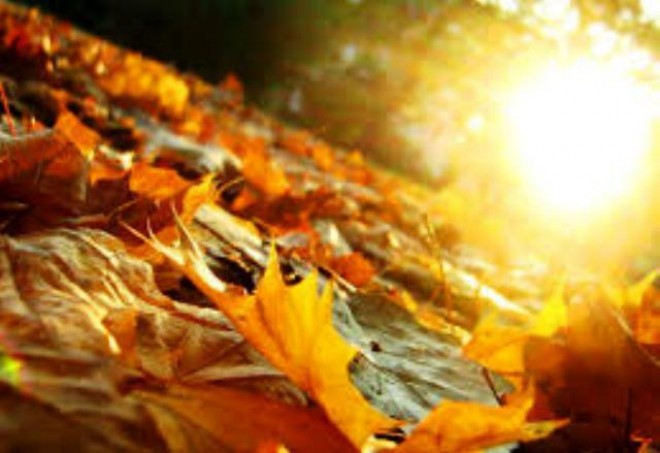 Sabah şimal-qərb küləyi güclənəcək