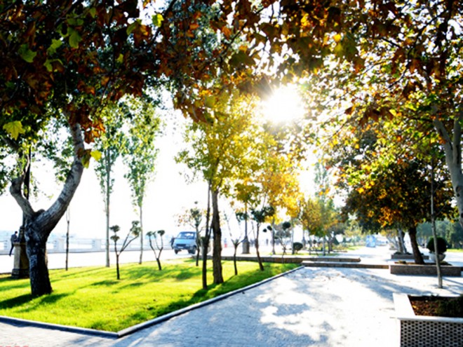 Sabaha gözlənilən hava şəraiti&nbsp;