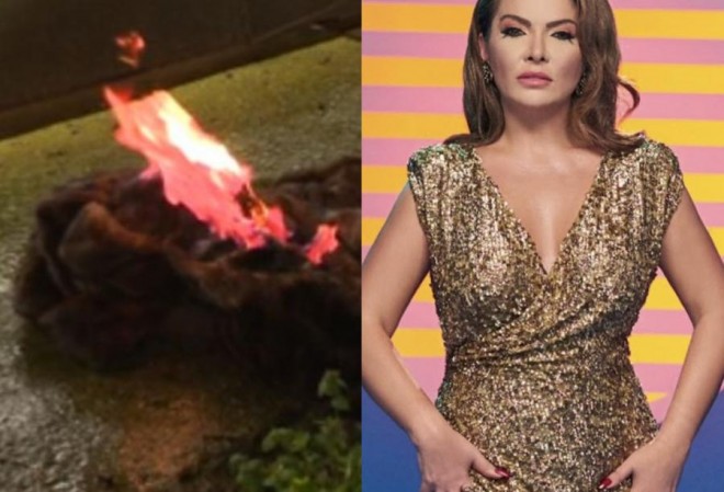 Müğənni 300 minlik kürkünü yandırdı