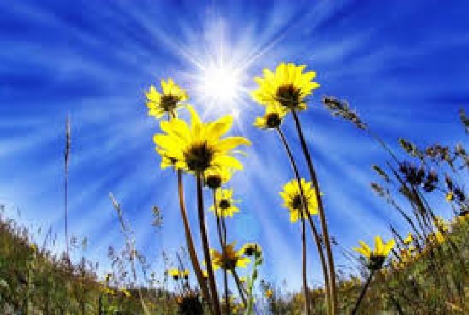 Bakıda 23 dərəcə isti olacaq