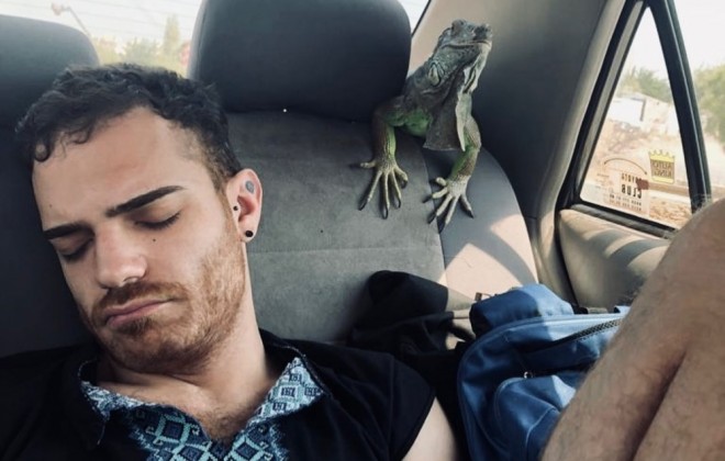 Elnur avtomobildə iquana saxlayır&nbsp;
