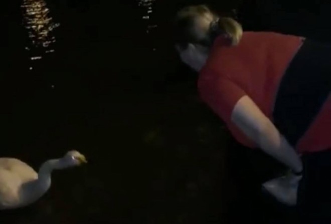 Əməkdar artistin Qu quşu ilə söhbəti - video