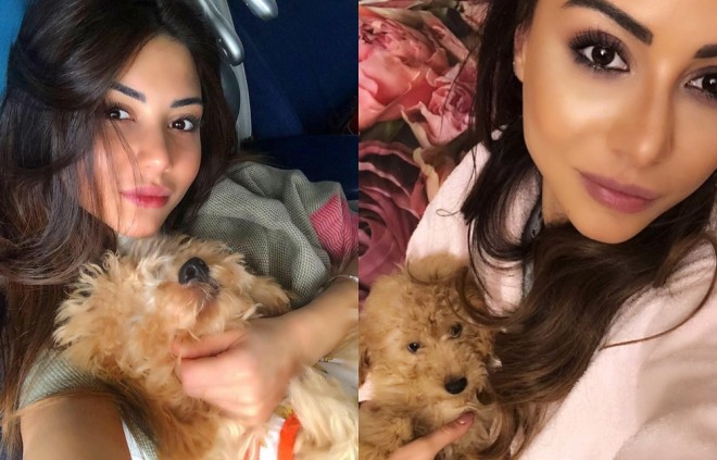 Aysel “Bubi”nin qiymətini açıqladı