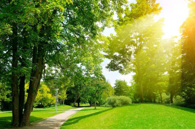 Sabah istilik 42 dərəcəyə yüksələcək