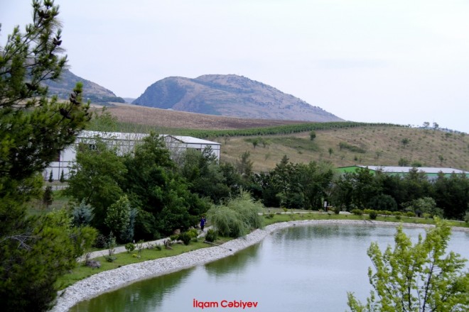 Sabah hava soyuyacaq