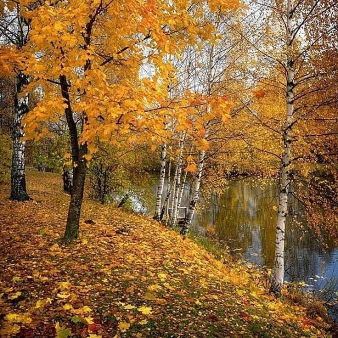 Sabaha&nbsp;gözlənilən hava şəraiti&nbsp;