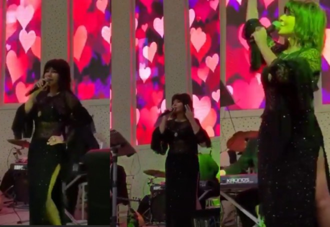 Xalq artisti uzun yarıqlı paltar geyindi - video