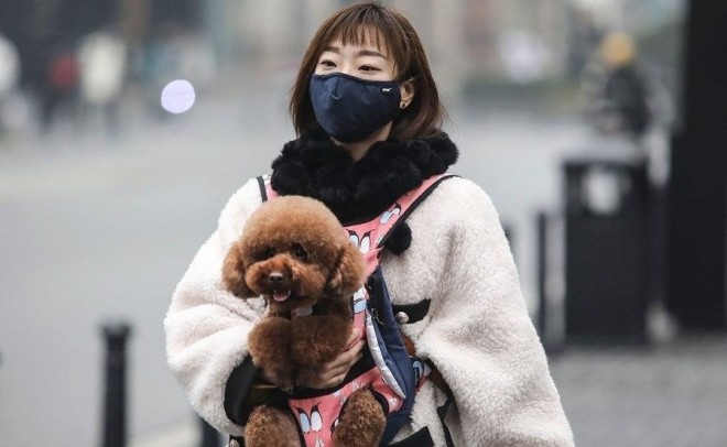 Film sektoruna 214 milyon dollar ziyan dəydi