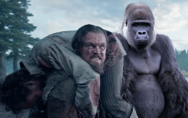 Leonardo Di Kaprio qorillaları qoruyur