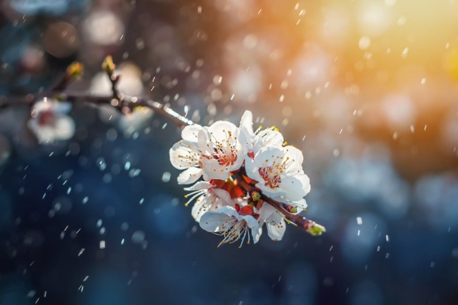 Sabah hava tutqun olacaq