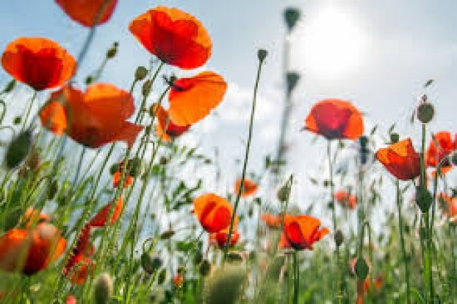 &nbsp;Bakıda 32 dərəcə isti olacaq